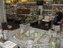 dnd1